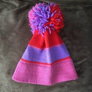 Vintage The Mountain Lid hat